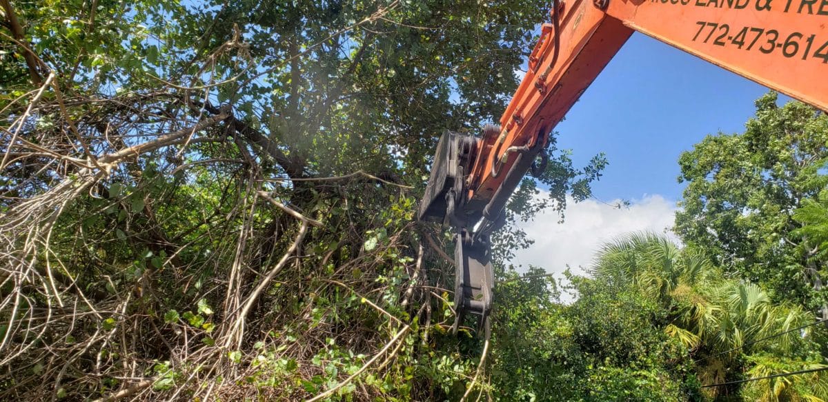 Micco Land Services | Quality Land Clearing and Management