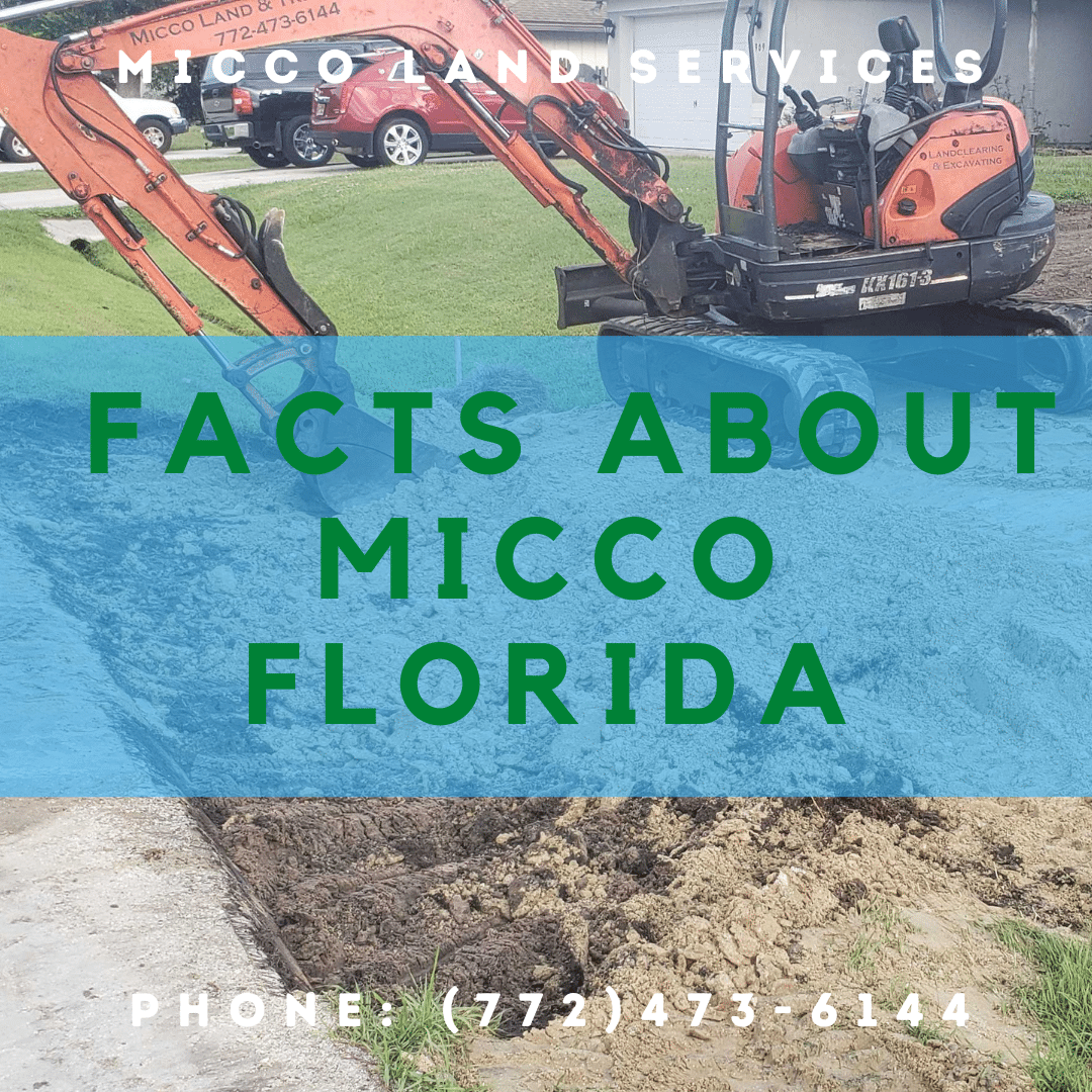 Facts about Micco Florida • Micco Land Services Quality Land Clearing