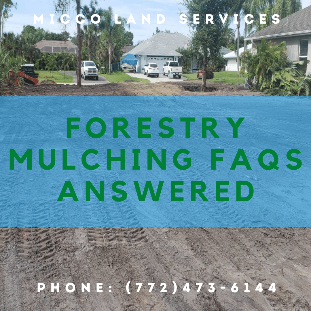 Forestry Mulching FAQs • Micco Land Services Quality Land Clearing