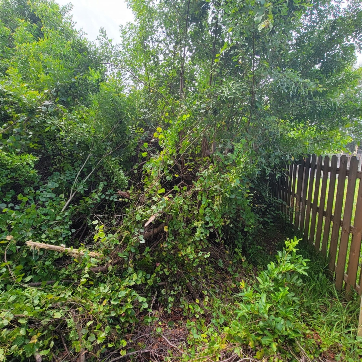 Micco Land Services • Micco Land Services